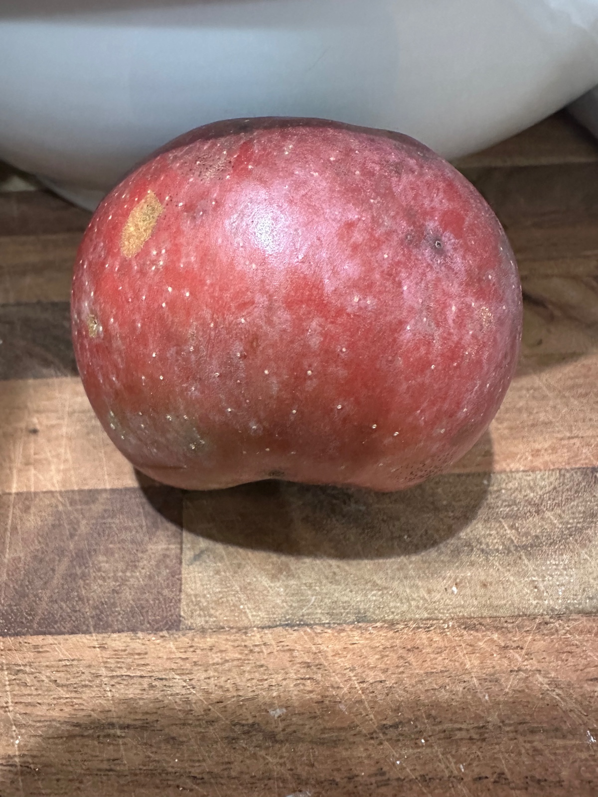 Burford Red Flesh Apple Tree