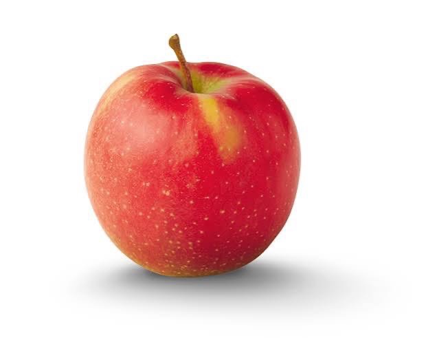 Jonagold Apple Tree