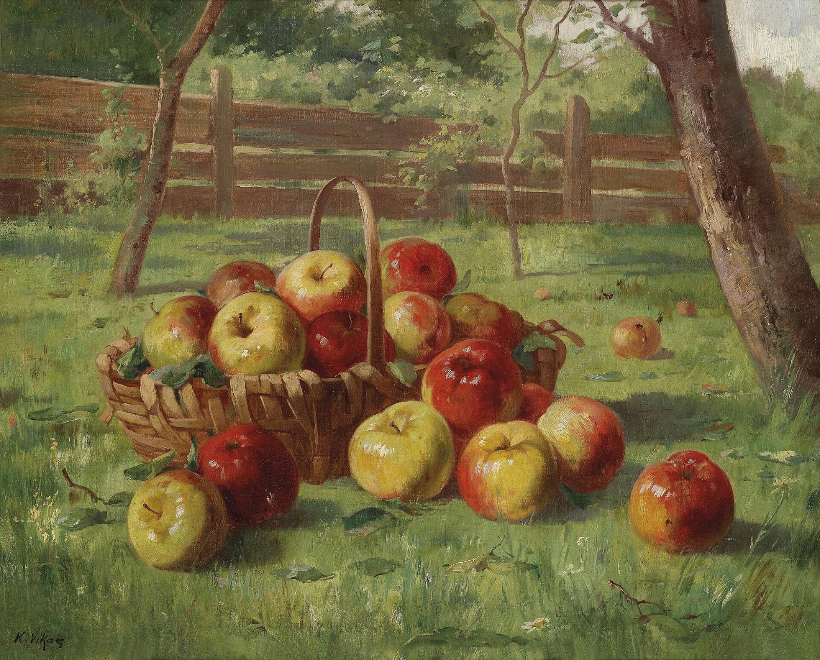 Apricot Apple Tree